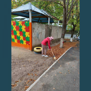 Salubrizarea teritoriului instituției IET nr.188, str.Igor Vieru, 8/2