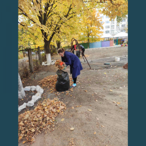 Salubrizarea terenului instituției IET nr. 212