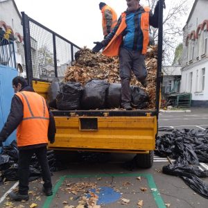 Continuă evacuarea frunzișului de pe teritoriul instituțiilor de învățământ!