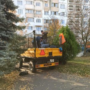 Evacuarea frunzișului de pe teritoriul Instituției de educație timpurie nr.211, str.Igor Vieru,3