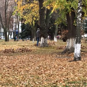 Salubrizarea terenului aferent/adiacent al Centrului de Creație a Copiilor „Ghiocel”, str.Alecu Russo,57