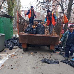 Evacuarea frunzișului de pe terenul Instituției de educație timpurie, grădinița-creșă nr.30,str.P.Zadnipru,7/1.
