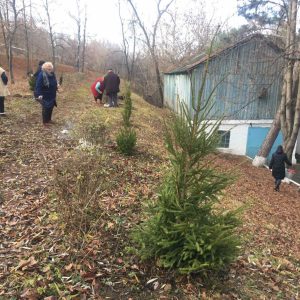 În Școala primară nr. 19 acțiunile de salubrizare din cadrul Campaniei „Curățenia generală de toamnă” au luat sfârșit