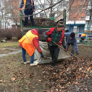 Angajații Liceului Teoretic „P. Zadnipru” sunt în proces de evacuare a frunzișului de pe terenul aferent/adiacent al instituției