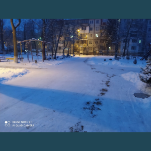 „Tot e alb: pe drum, pe dealuri, împrejur, în depărtare…”  V.Alecsandri