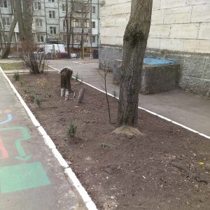 Teritoriul aferent/adiacent al IET nr. 149 este bine îngrijit, salubrizat