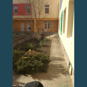 Procesul de salubrizare și îngrijire a terenului aferent / adiacent al IET nr. 225