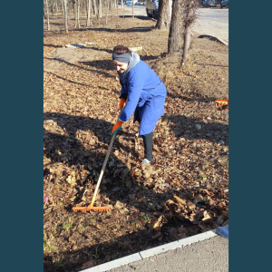 Salubrizarea și îngrijirea terenului aferent /adiacen al IET nr. 179