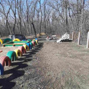 IET nr. 179 se implică activ în campania municipală „Curățenia generală de primăvară”