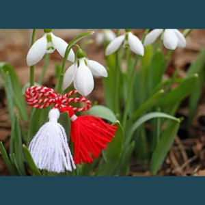 Felicitare cu ocazia sosirii primăverii