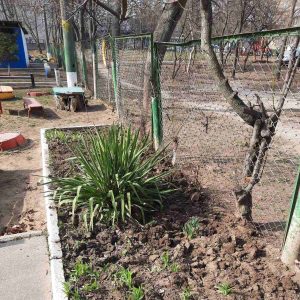 Salubrizarea și amenajarea terenului în IET, grădinița – creșă nr.135, str. Mihai Sadoveanu, 6/2
