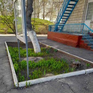 Acțiunile de salubrizare și amenajare a terenului școlii se desfășoară intens în Școala primară nr.95