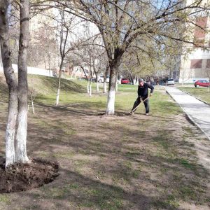 Angajații Școlii primare nr.83 sunt încadrați în acțiunile de salubrizare a terenurilor aferent/adiacent al instituției