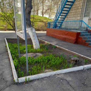 Terenurile de odihnă pentru elevi sunt pregătite