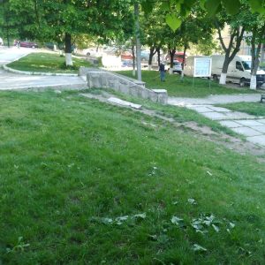 În LT „Dacia” cositul ierbii se efectuează regulat