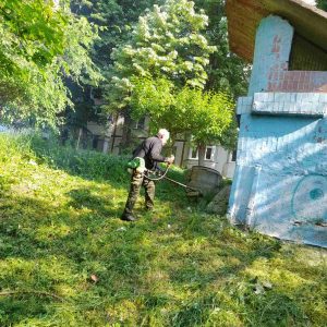 În Școala primară nr. 95 salubrizarea și igienizarea gospodăriei se face regulat și calitativ