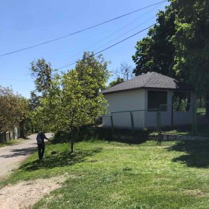 Teritoriul Complexului Educațional grădiniță — gimnaziu, Cruzești este zilnic îngrijit