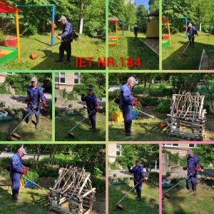 Salubrizarea și igienizarea terenurilor aferent/adiacent al IET nr.184