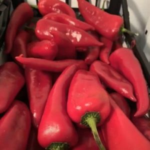 Administrația IET nr. 130 ține cont de necesitatea unui consum zilnic, echilibrat de produse alimentare