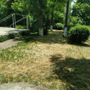 Cositul ierbii, igienizarea terenului în IET nr. 32