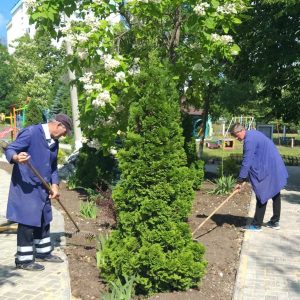 Salubrizarea și igienizarea teritoriului IET nr. 225