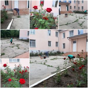 Salubrizarea terenului aferent și adiacent al IET nr.138