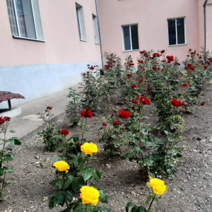 Terenul aferent al IET nr. 138 este îngrijit regulat