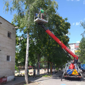 CURĂȚAREA ARBORILOR USCAȚI DE PE TERITORIUL IET nr.149