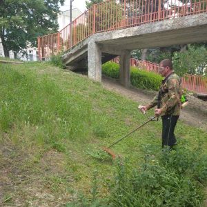 Salubrizarea teritoriului IET nr. 155