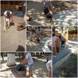 Salubrizarea teritoriului IET nr. 138