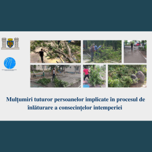 DGETS aduce sincere mulțumiri tuturor persoanelor implicate în procesul de înlăturare a consecințelor intemperiei