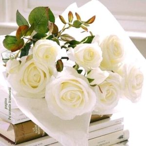 Administrația Grădiniței-creșă Norocel vă felicită cu Ziua Profesională a Educației