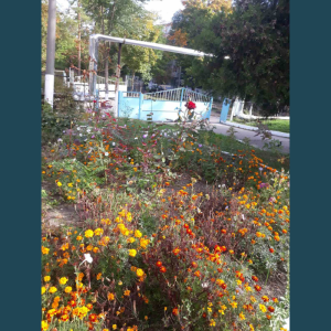 Terenurile instituțiilor de învățământ din subordine sunt zilnic salubrizate și igienizate