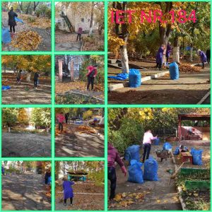 Salubrizarea teritoriului IET nr.184