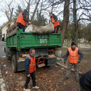 Evacuarea frunzișului de pe terenurile aferente/adiacente ale instituțiilor de învățământ din sector continuă