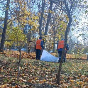 Procesul de salubrizare în IET nr.179