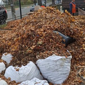 Evacuarea frunzișului de pe teritoriul IET nr. 211