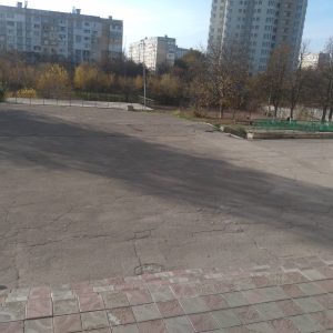 Salubrizarea și evacuarea frunzișului de pe terenul aferent și adiacent al Liceului Teoretic „Dacia”, str. P. Zadnipru 14/4