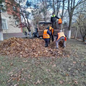 Procesul de salubrizare în Școala primară nr.95