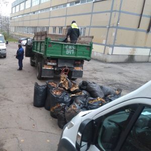 Evacuarea frunzișului de pe teritoriul aferent/adiacent al Liceului Teoretic „Dacia”