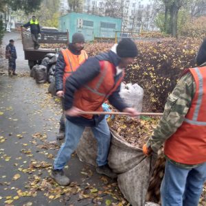 Evacuarea frunzișului de pe teritoriul Instituției de educație timpurie nr.161, str.Al.Russo,61/3