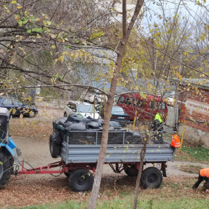 Evacuarea frunzișului de pe teritoriul instituției de educație timpurie nr.177, str. Voluntarilor,14/3