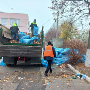 Saubrizarea teritoriului și evacuarea frunzișului de pe terenul aferent/adiacent al IET nr.184, str.P.Zadnipru, 3/1