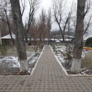 Teritoriile instituțiilor sunt curățate!