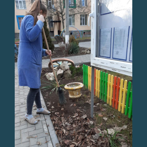 Procesul de salubrizare în IET nr. 225