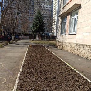 Campania de salubrizare de primăvară în IET nr. 32