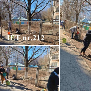 Amenajarea și menținerea teritoriului instituțiilor subordonate