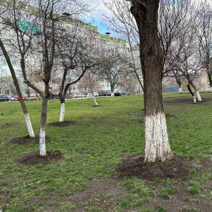 Salubrizare de primăvară în Școala primară nr. 83