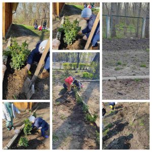 Curățenia generală de primăvară în IET nr. 179 str. M. Sadoveanu, 1