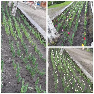 Un superb peisaj de primăvară la IET nr. 212, str. N. M. Spătaru, 3/1